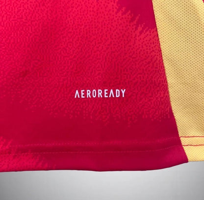 2024 Spain Home Kit from FootballPrestige.club - Premium Football Kits