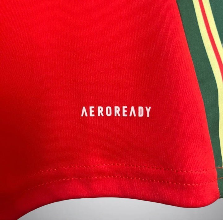 2024 Wales Home Kit from FootballPrestige.club - Premium Football Kits