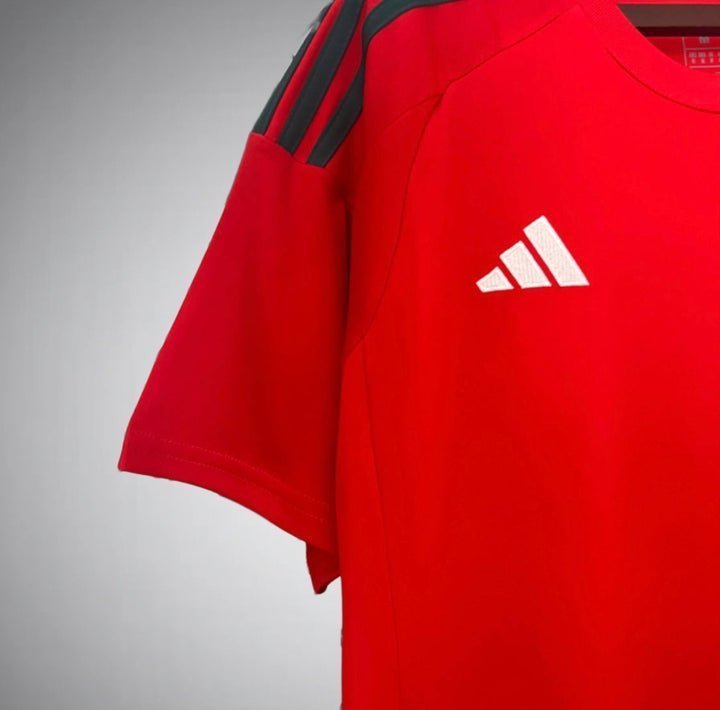 2024 Wales Home Kit from FootballPrestige.club - Premium Football Kits