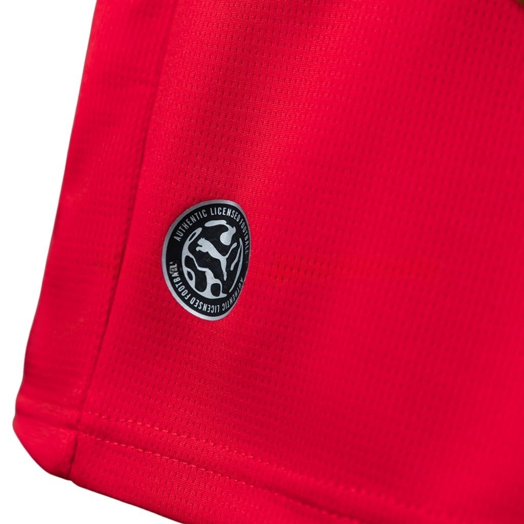 2026 Austria Home Kids Size Kit from FootballPrestige.club - Premium Football Kits