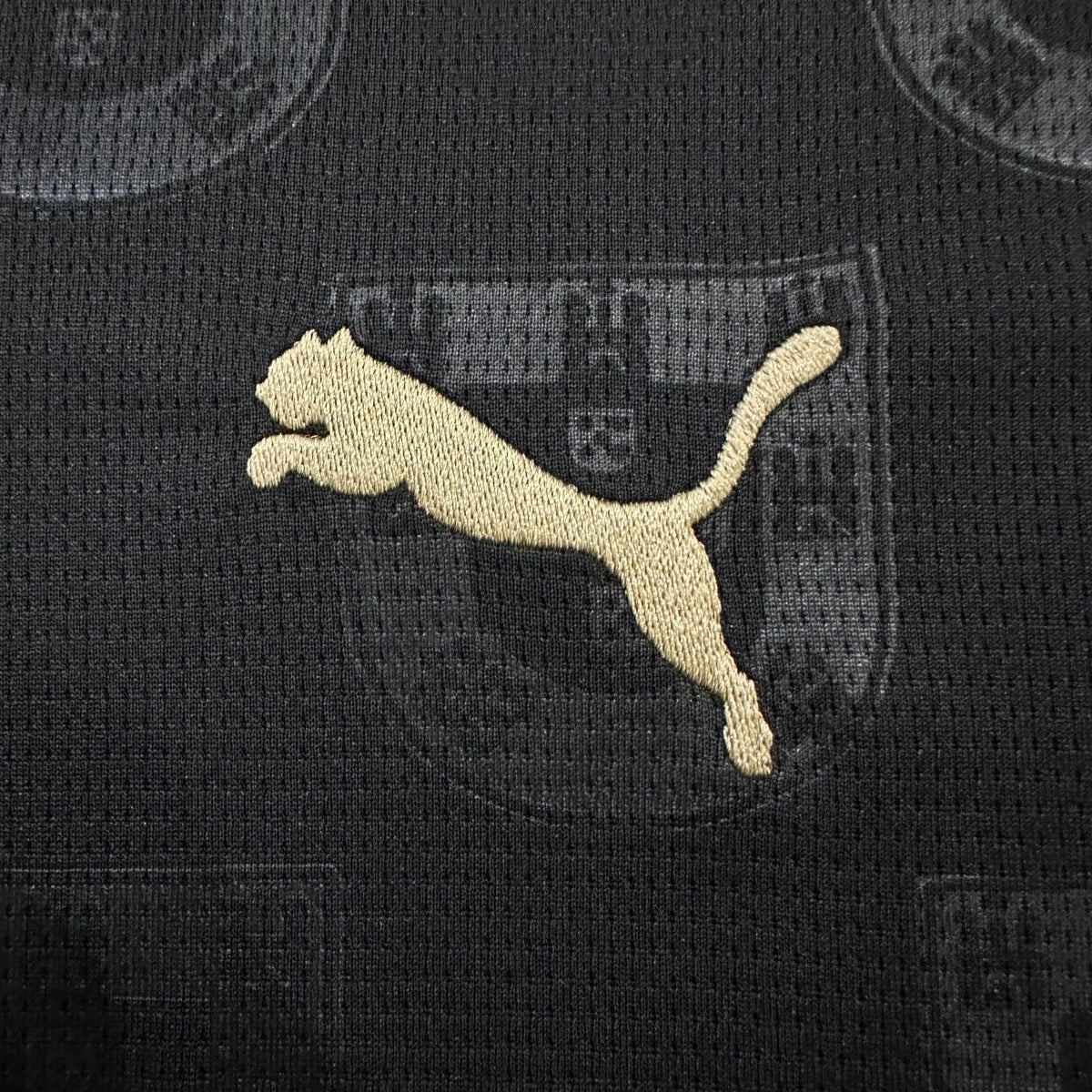 2026 Portugal "Black Panther" Premium Kit from FootballPrestige.club - Premium Football Kits