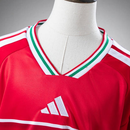 2026 Wales Home Kids Size Kit from FootballPrestige.club - Premium Football Kits