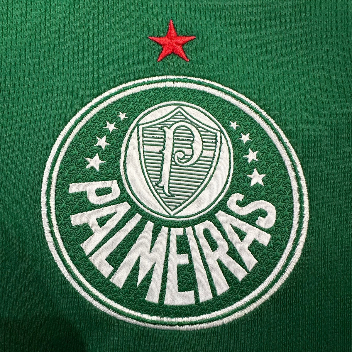 25/26 Palmeiras Home Kit from FootballPrestige.club - Premium Football Kits