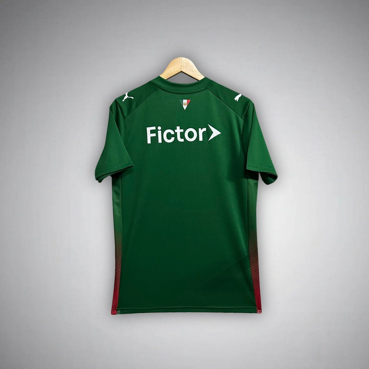 25/26 Palmeiras Home Kit from FootballPrestige.club - Premium Football Kits