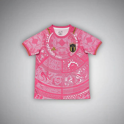 Italy "Stili di Roma" Premium Pink Kit from FootballPrestige.club - Premium Football Kits